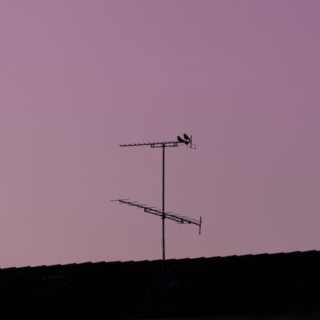 antennas