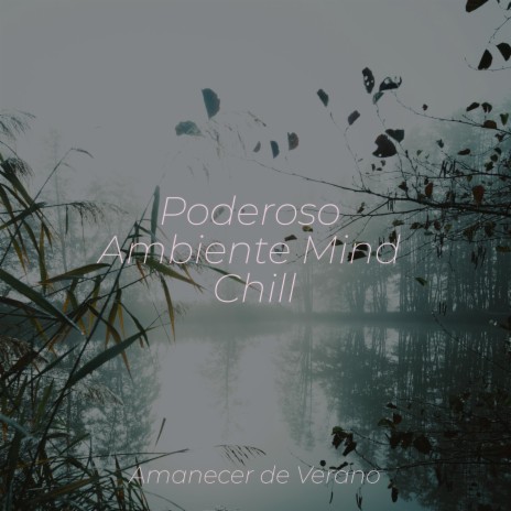 El Lamento de la Silueta Enigmática ft. PowerThoughts Meditation Club & Cascada de Lluvia | Boomplay Music