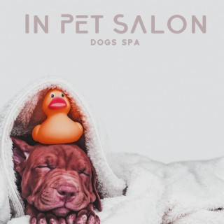 In Pet Salon: Dogs Spa, My Dog's Music