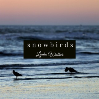 Snowbirds