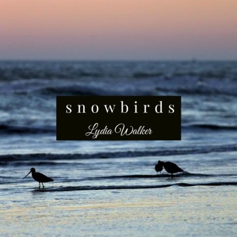 Snowbirds | Boomplay Music