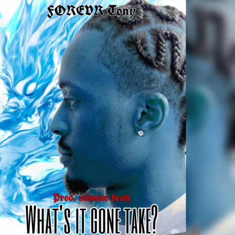 Whats It Gone Take? | Boomplay Music