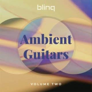 Ambient Guitars, Vol. 2