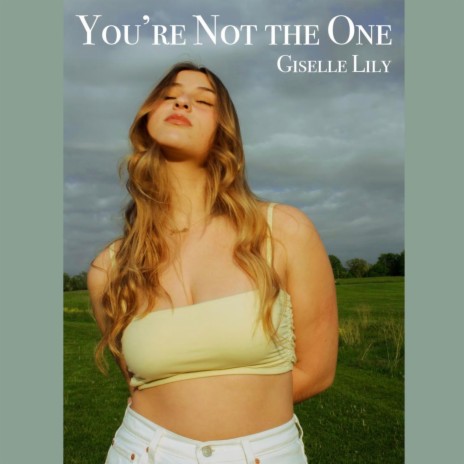 You're Not The One | Boomplay Music