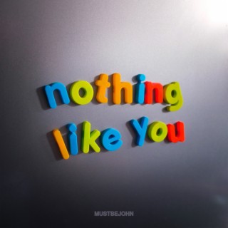 Nothing Like You