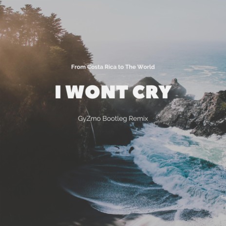 I Won't cry (Drum and Bass Remix) | Boomplay Music