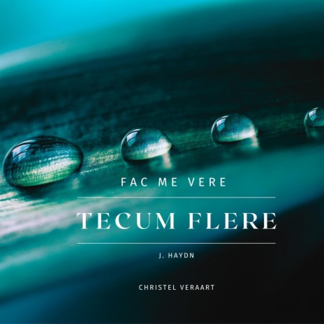 Fac Me Vere Tecum Flere | Boomplay Music