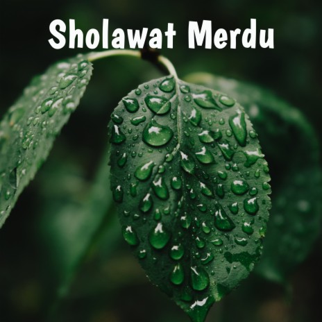 Sholawat Merdu Wasallimda