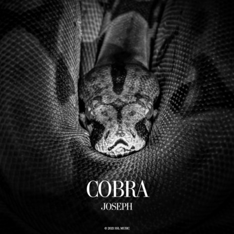 Cobra (Original Mix)