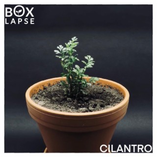 CILANTRO (Original Soundtrack)