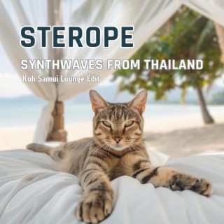 Synthwaves From Thailand (Koh Samui Lounge Edit)