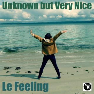 Le Feeling ft. AlgorithMix & Sweet2Kiss lyrics | Boomplay Music