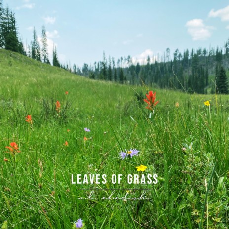 Leaves Of Grass | Boomplay Music