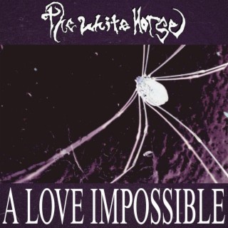 A Love Impossible