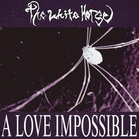 A Love Impossible