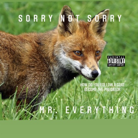 Sorry NOT Sorry | Boomplay Music