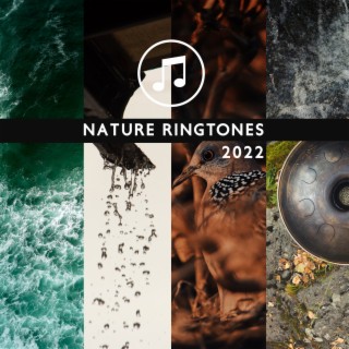 Nature Ringtones 2022: Hang Drum & Ocean Waves & Rain Sounds & Thunderstorm & Forest & Stream & Birds