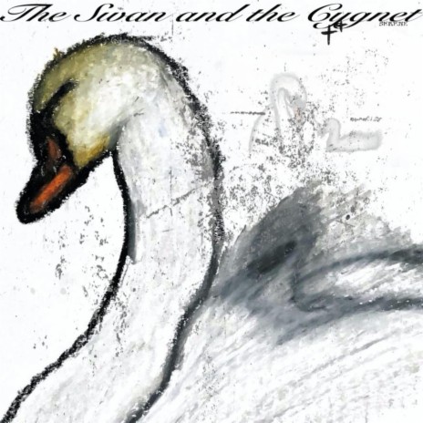 The Swan and the Cygnet | Boomplay Music