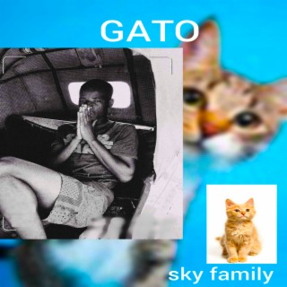 Gato