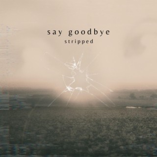 say goodbye (stripped)