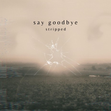 say goodbye (stripped) | Boomplay Music