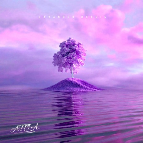 LAVENDER OASIS | Boomplay Music