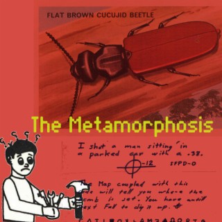 The Metamorphosis