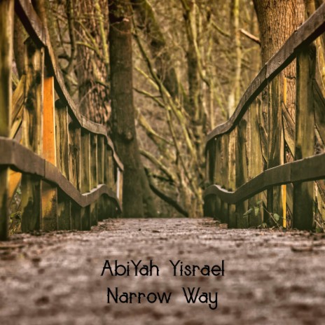 Narrow Way | Boomplay Music