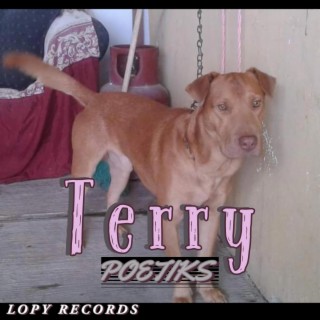 Terry lyrics | Boomplay Music
