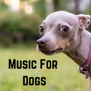 Music For Dogs