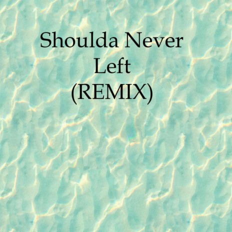 Shoulda Never Left (feat. C.FVADAR) | Boomplay Music