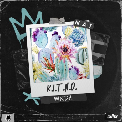 K.I.T.N.O. (Radio Edit) | Boomplay Music