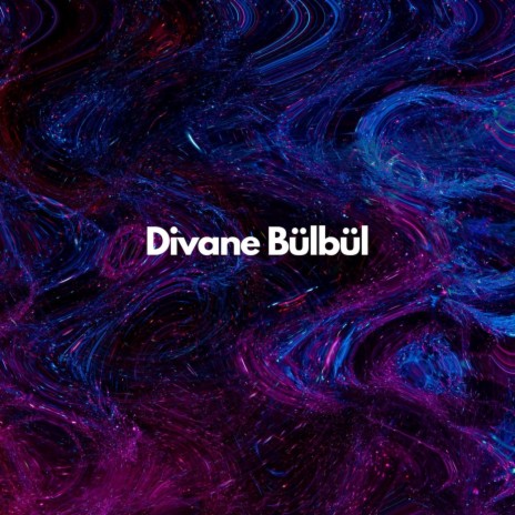 Divane Bülbül | Boomplay Music