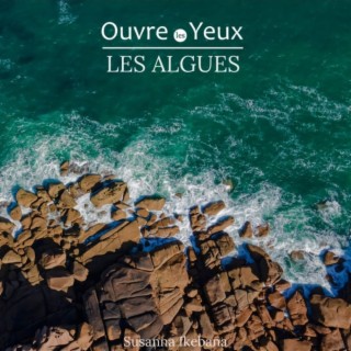 OUVRE LES YEUX (LES ALGUES (BANDE SONORE ORGINALE)