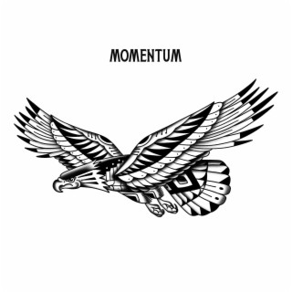 Momentum