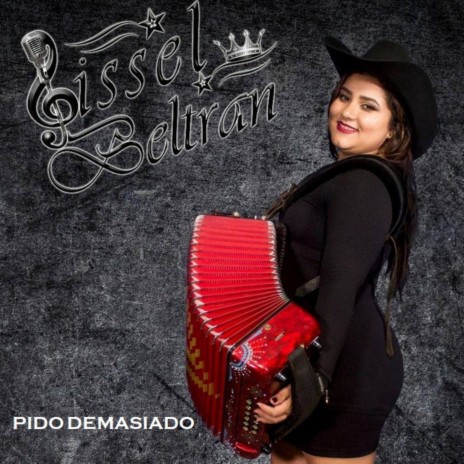 Pido Demasiado | Boomplay Music