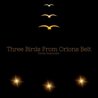 Three Birds from Orions Belt