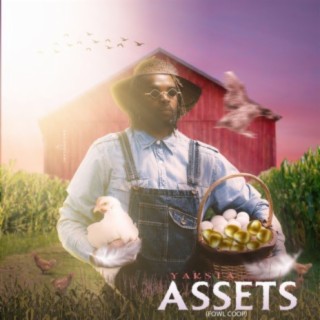 Assets (Fowl Coop)