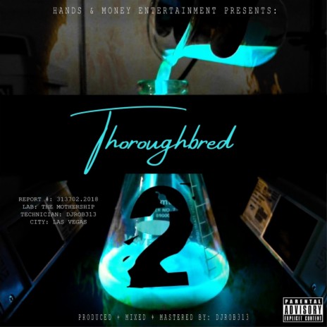 Thoroughbred ft. Player Chris | Boomplay Music