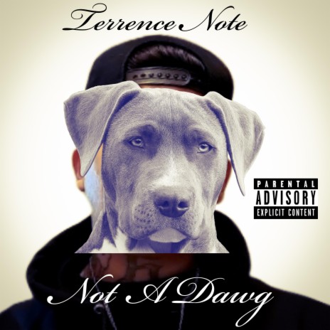 Not A Dawg | Boomplay Music