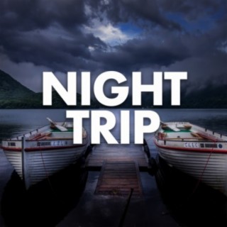 Night Trip