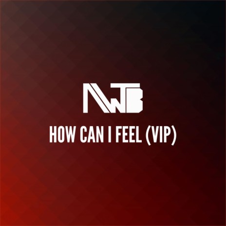 How Can I Feel (VIP)
