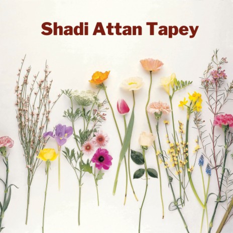 Shadi Attan Tapey ft. Zarodin marwat