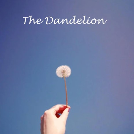 The Dandelion | Boomplay Music