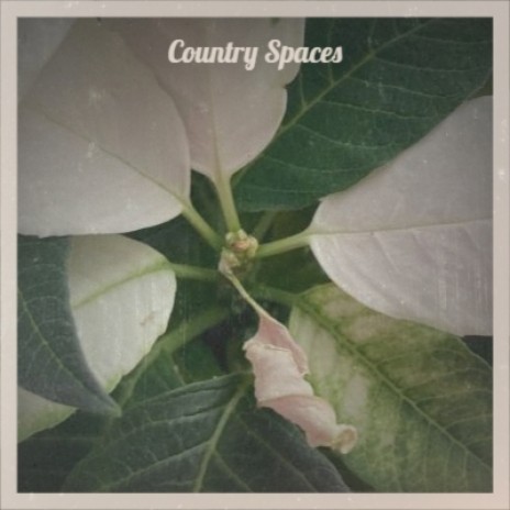 Country Spaces | Boomplay Music
