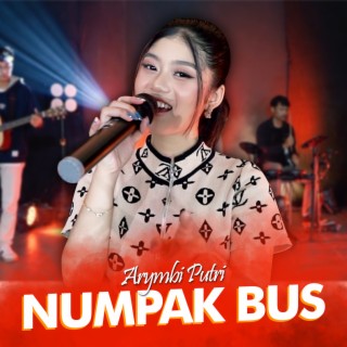 Numpak Bus