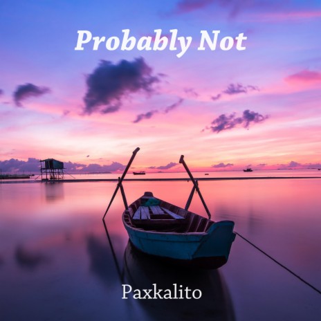 Probably Not | Boomplay Music