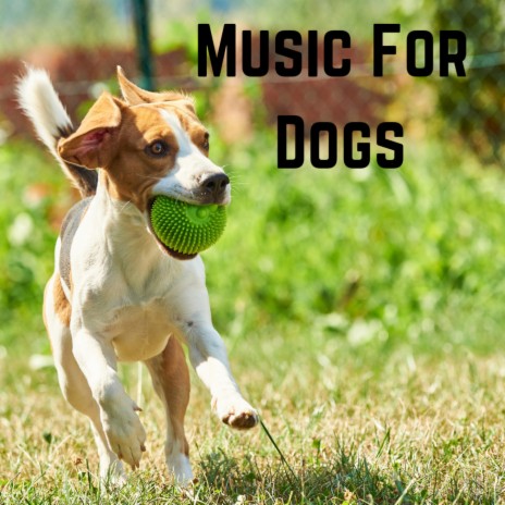 Puppy Unwind ft. Calm Pets Music Academy, Music For Dogs & Music For Dogs Peace | Boomplay Music