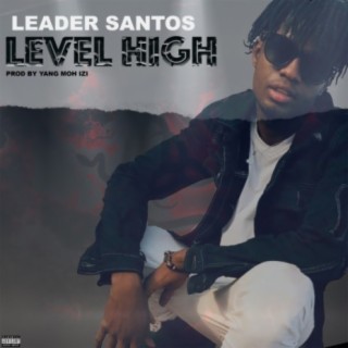 Level High