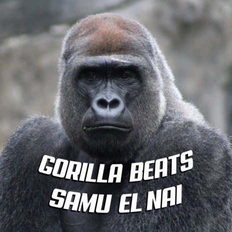 Gorilla Beats | Boomplay Music